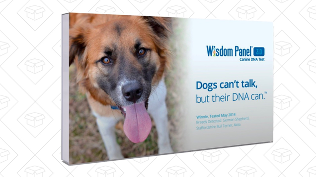 Wisdom Panel Breed Identification DNA Test Kit | $51 | Amazon